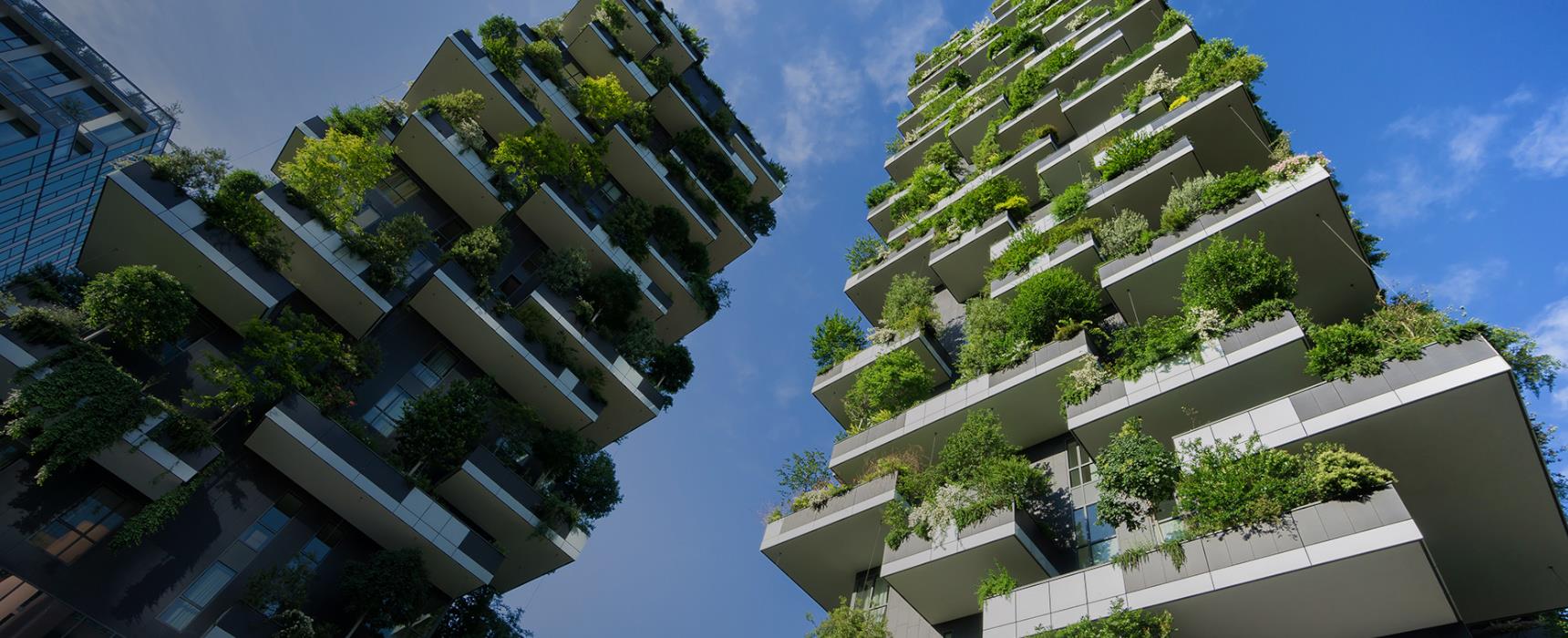 LEED Design 101: How to Build Green and Save Money