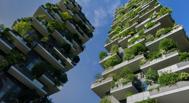 LEED Design 101: How to Build Green and Save Money